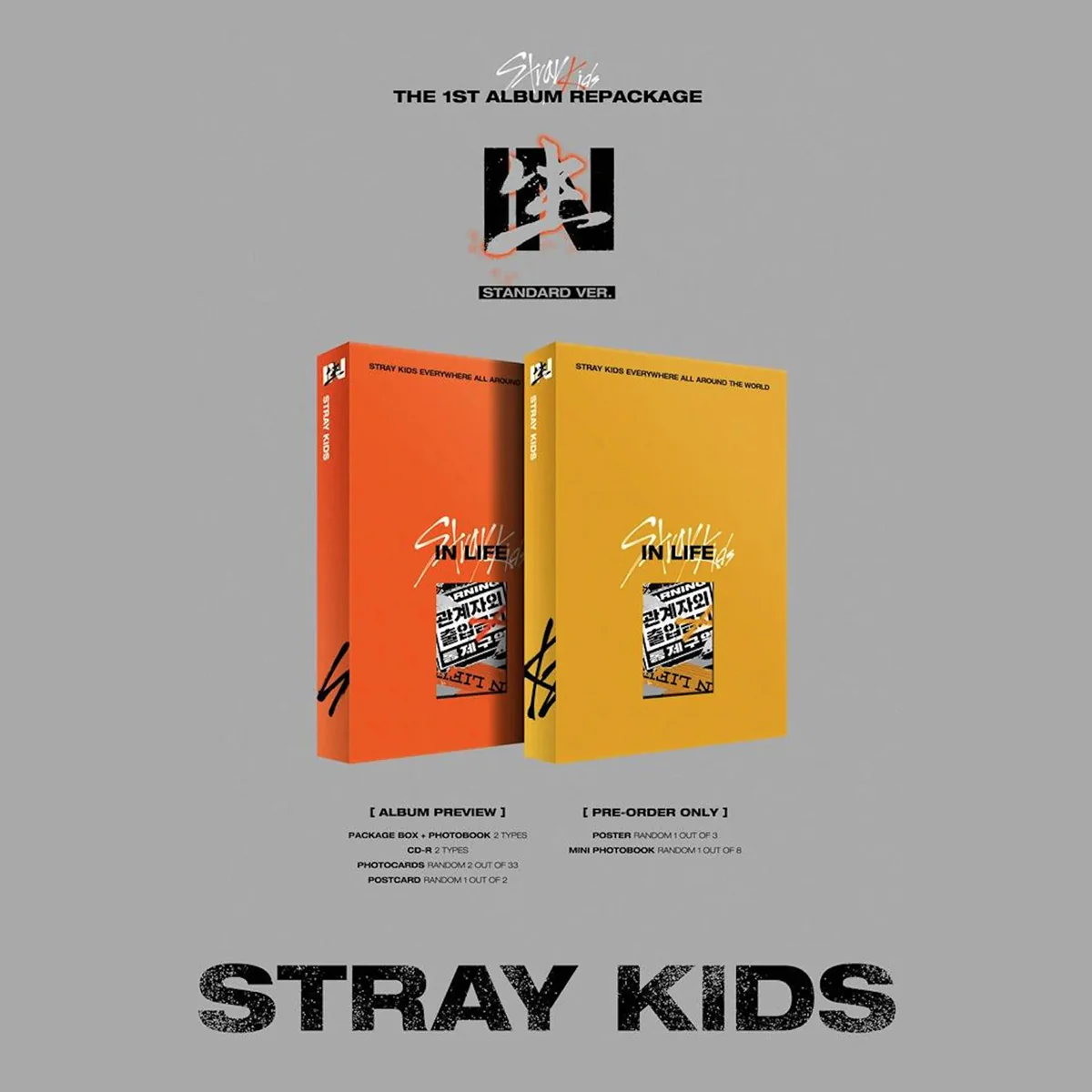 Stray Kids - IN生 (IN LIFE) REPACKAGE [1ST ALBUM] STANDARD Ver.